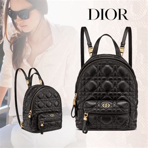 christian dior passeggino|Christian Dior backpack.